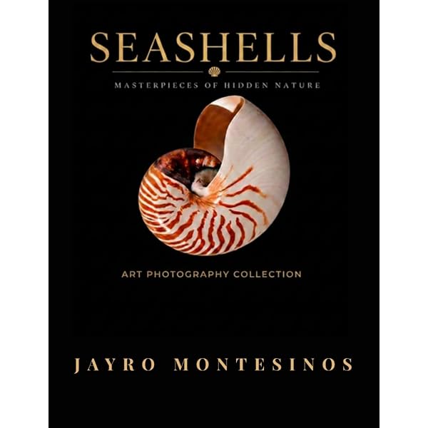 アート・デザイン・音楽 shells / Paul Starosta Shells: Starosta